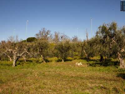 Raggiungiamo cos� il confine del campo, posto praticamente �sotto� la statale 100...